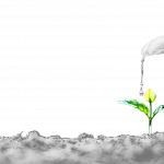 Wasser trifft auf junge Pflanze