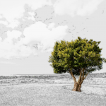 N:TREE Group - Wir pflanzen die Strategie und Sie ernten den Erfolg.