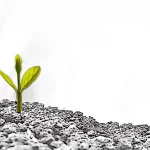 Junge Pflanze im Comic-Style