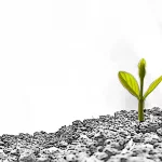 Junge Pflanze im Wachstum im Comic-Stil