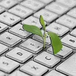 NTREE - Kleines Pflänzchen wächst aus der Tastatur