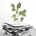 N:TREE - Aus einem Stapel Dokumente erwächst ein kleines Bäumchen