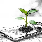 ntree GmbH - Pflanze wächst aus Handy - Cold Calling im digitalen Vertriebsprozess